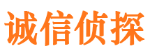 振兴市侦探公司